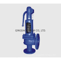 Overpressure Protection Device DIN Safety Valve Wcb